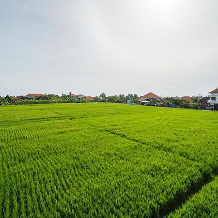 Raka Rai Homestay Canggu  Bagian luar foto